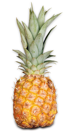 Ananas Extra Sweet 1600+ čerstvý 6 ks